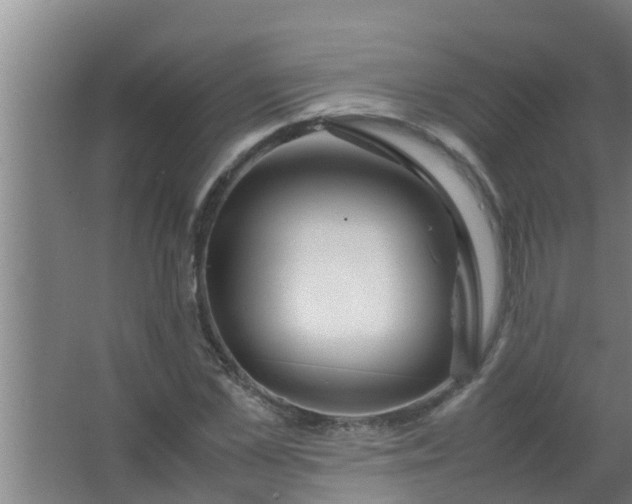 X0000063470973200602031855