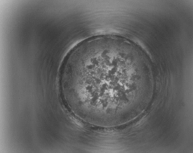 X0000063470975200602031855