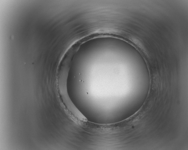 X0000063470976200602031855