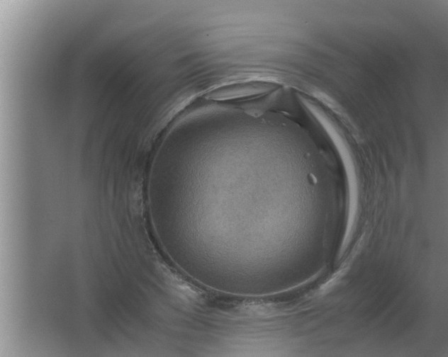 X0000063470977200602031855