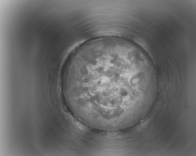 X0000063470979200602031855