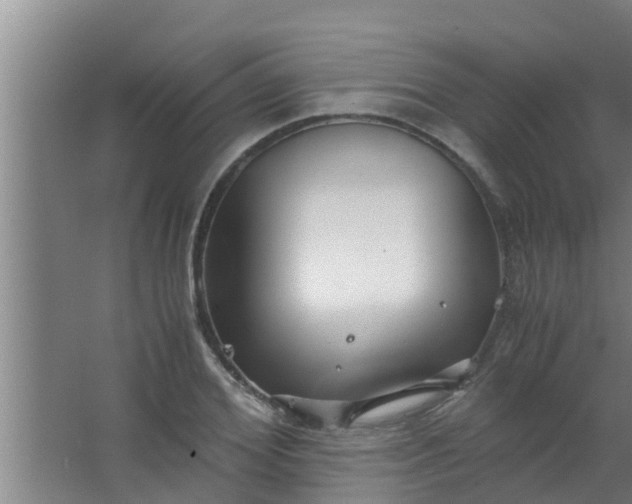 X0000063470980200602031855