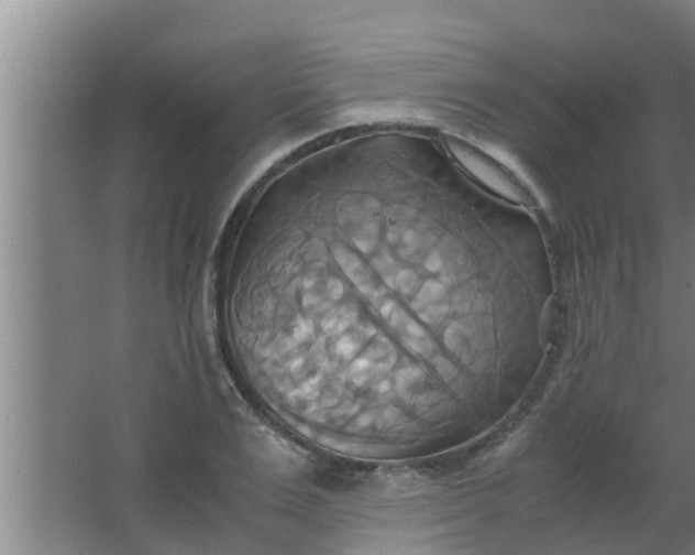 X0000063470983200602031855