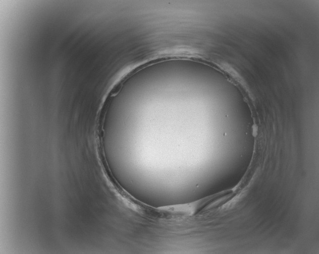 X0000063470989200602031855