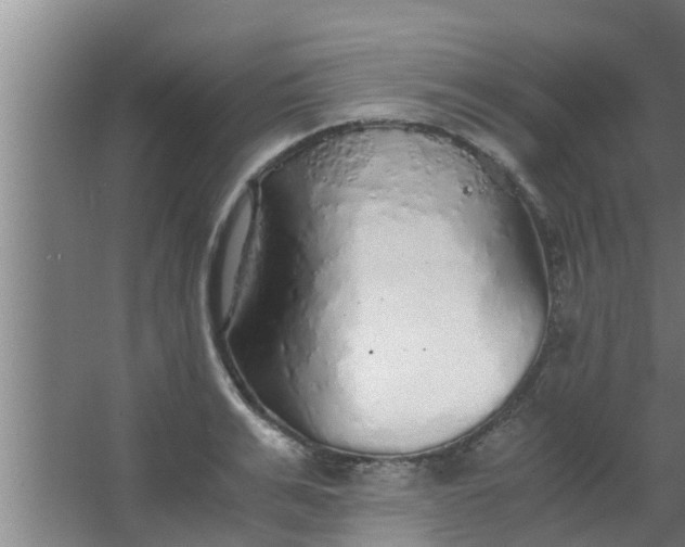 X0000063470991200602031855