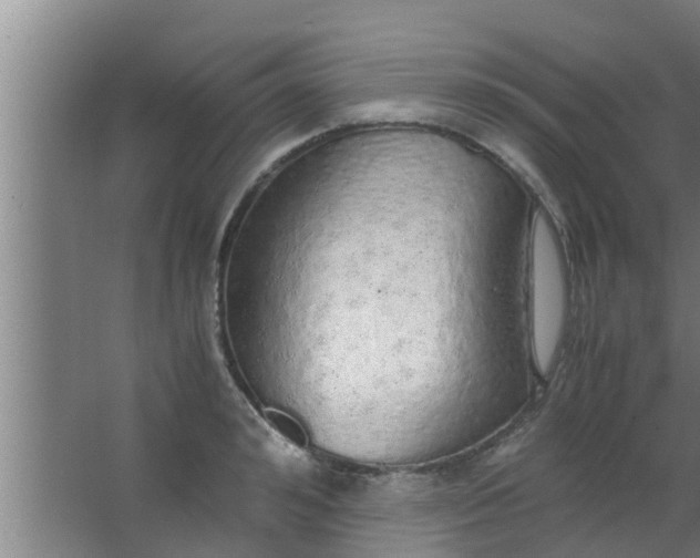 X0000063470992200602031855