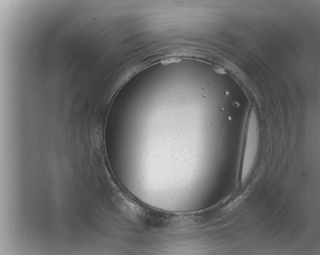 X0000063470993200602031855