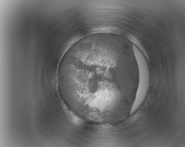 X0000063470994200602031855