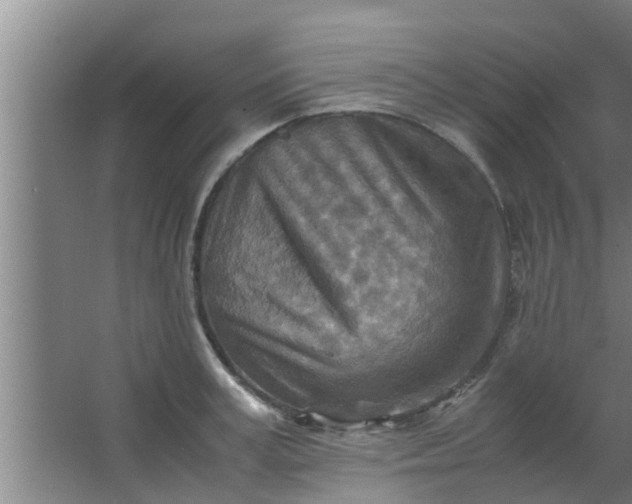 X0000063470995200602031855