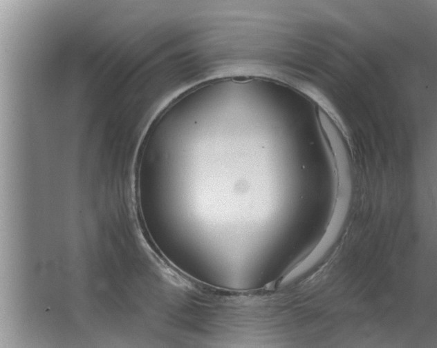 X0000063470996200602031855