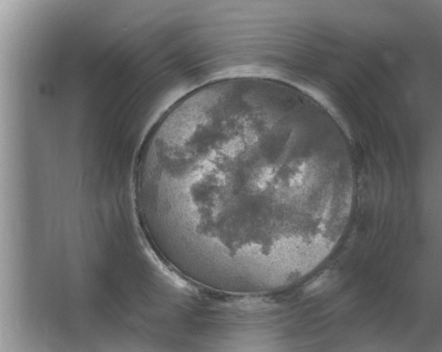 X0000063470998200602031855