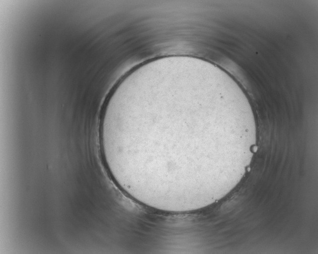 X0000063471000200602031855