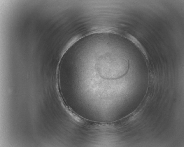 X0000063471002200602031855