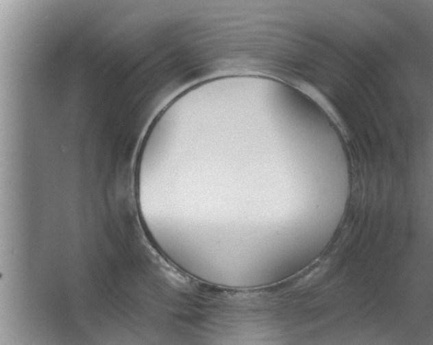 X0000063471004200602031855