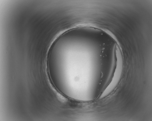 X0000063471005200602031855