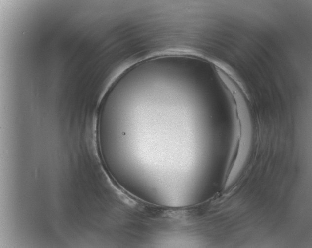 X0000063471006200602031855