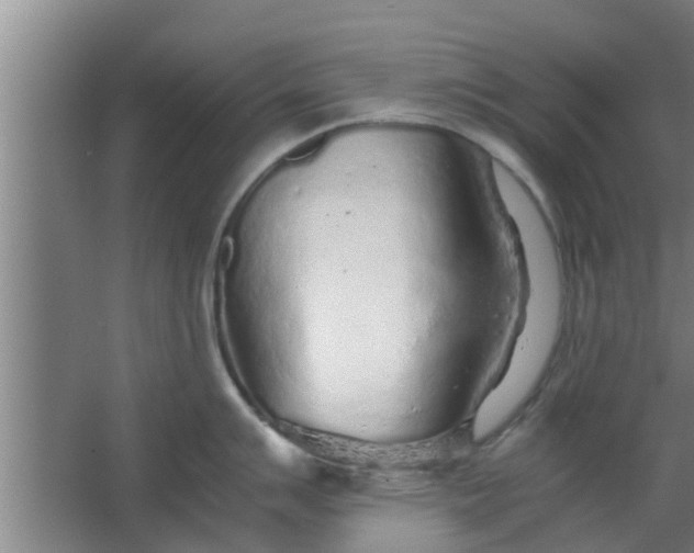 X0000063471007200602031855