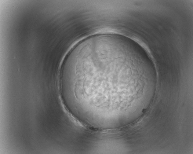 X0000063471008200602031855