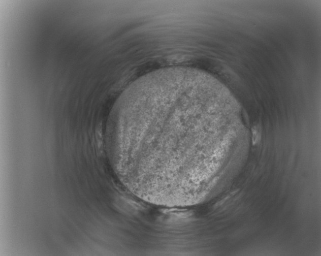 X0000063471011200602031854