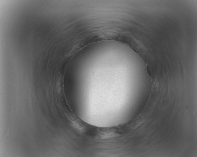 X0000063471012200602031854