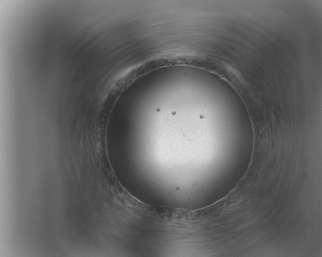 X0000063471016200602031854