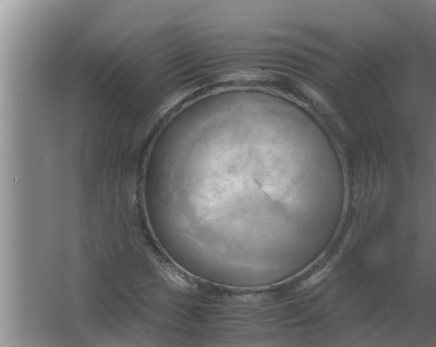 X0000063471017200602031854