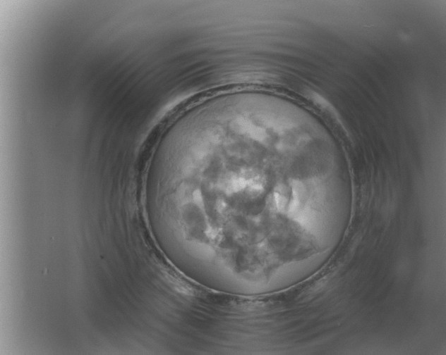 X0000063471019200602031854