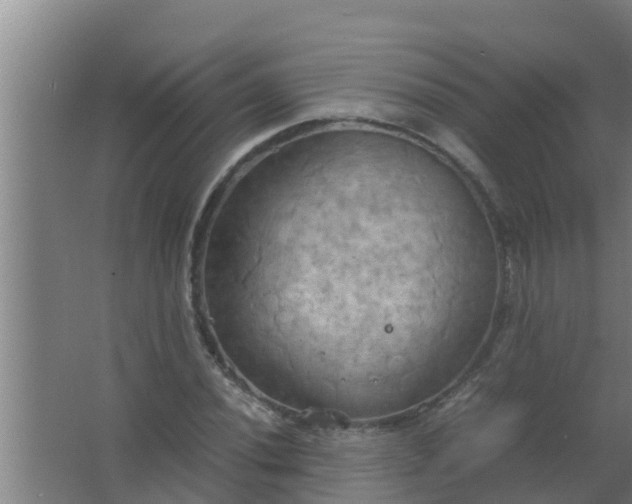 X0000063471020200602031854