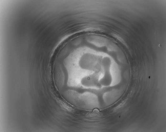 X0000063471021200602031854