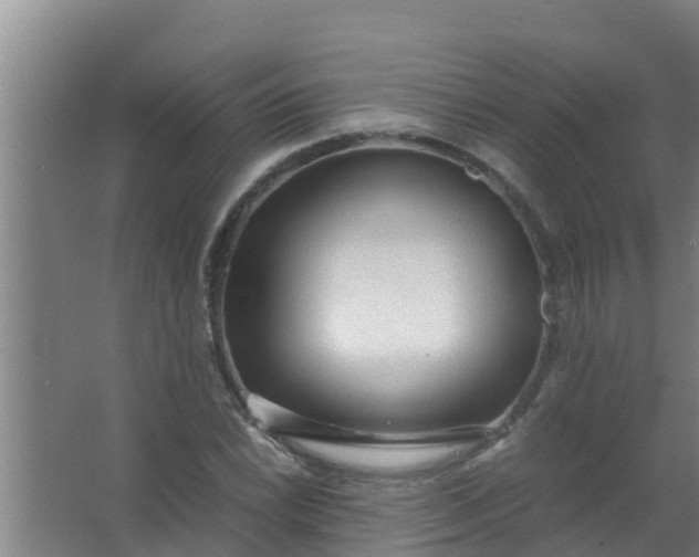 X0000063471022200602031854