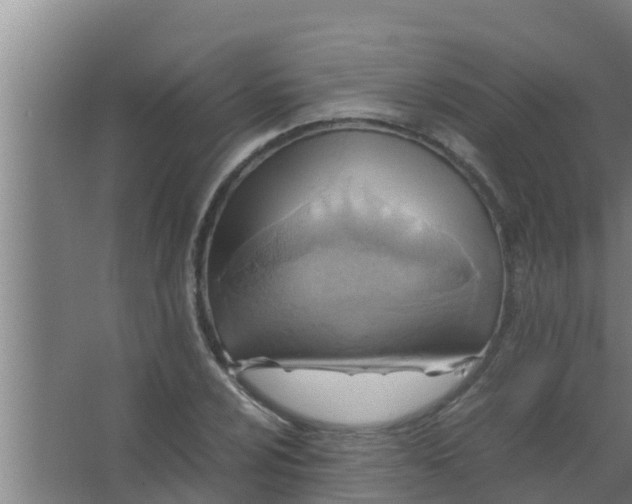 X0000063471024200602031854