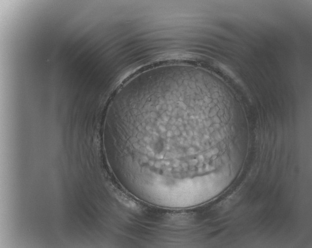 X0000063471025200602031854