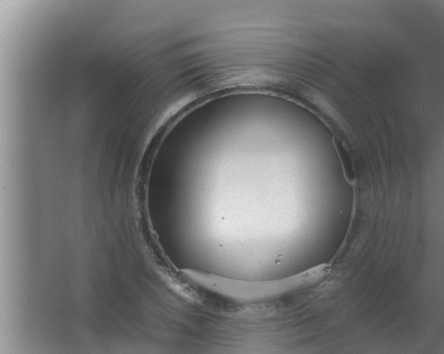 X0000063471026200602031854