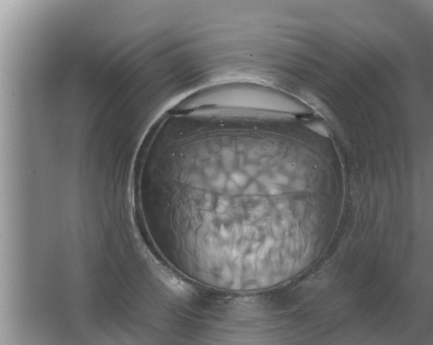 X0000063471028200602031854