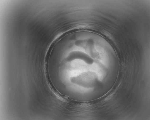 X0000063471029200602031854