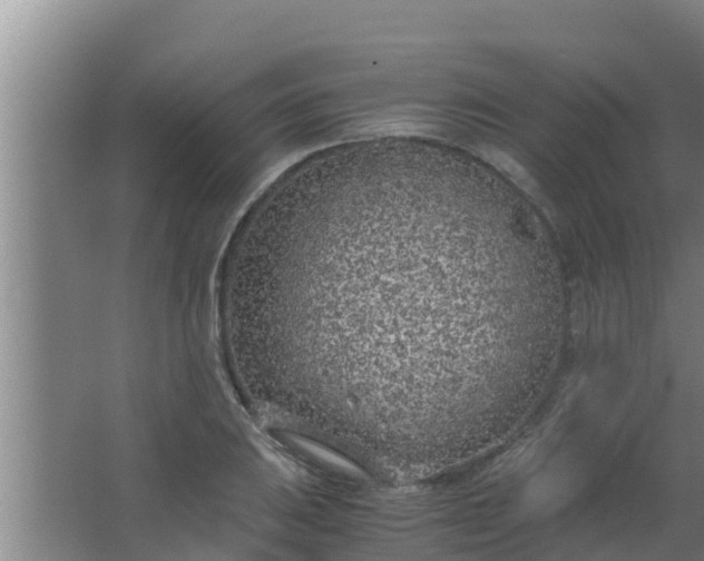 X0000063471031200602031854