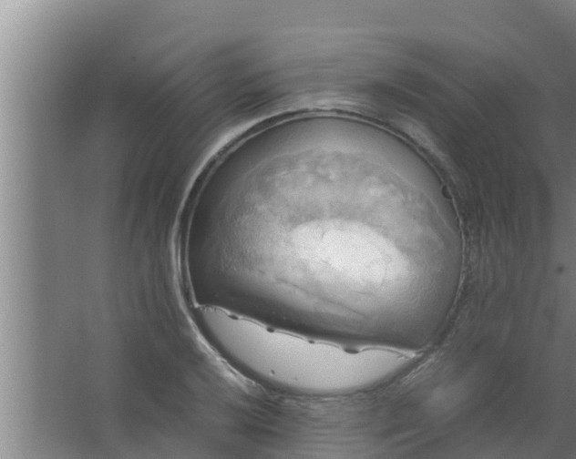 X0000063471032200602031854