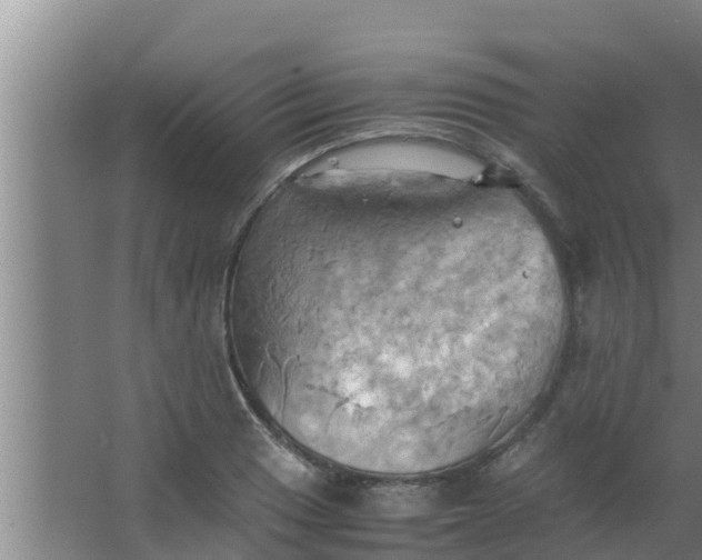 X0000063471033200602031854