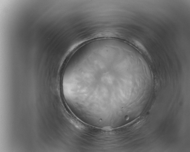 X0000063471035200602031854