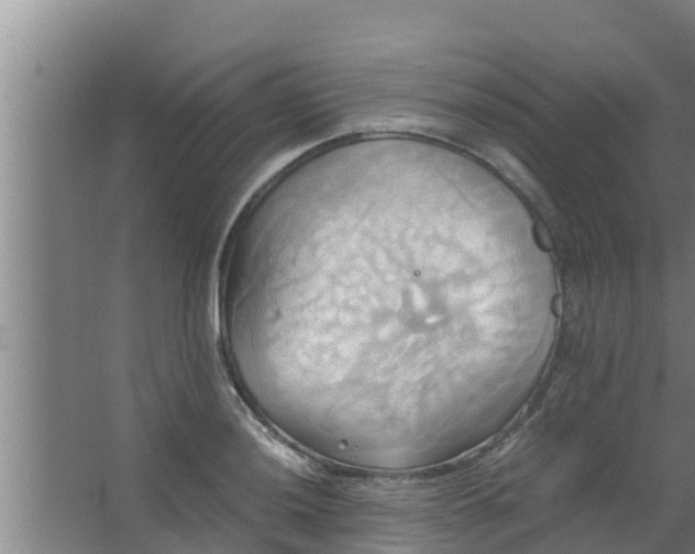 X0000063471036200602031854