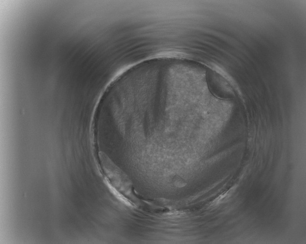 X0000063471037200602031854