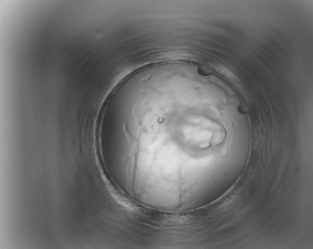 X0000063471039200602031854