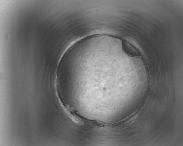 X0000063471040200602031854