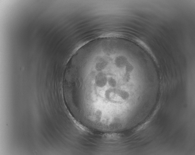 X0000063471041200602031854