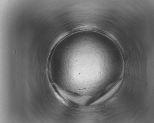 X0000063471042200602031854