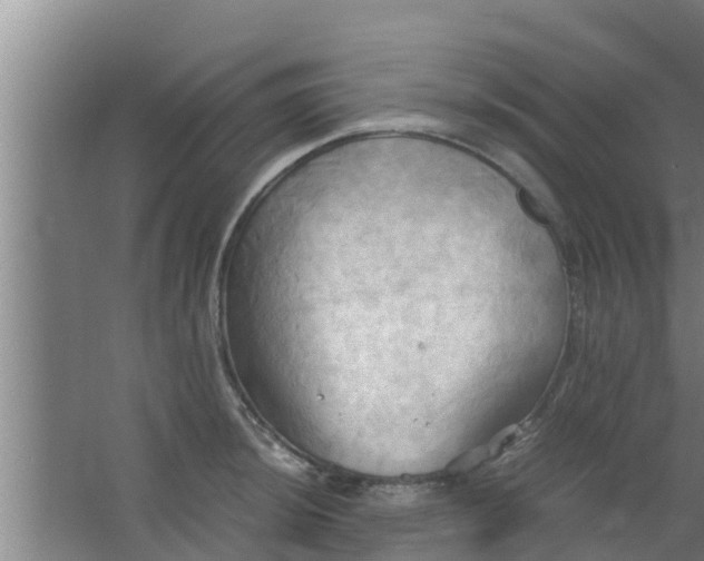 X0000063471044200602031854