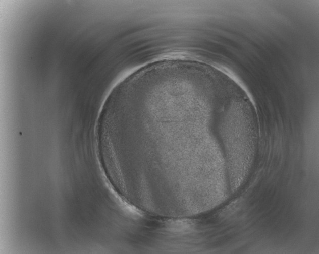 X0000063471045200602031854