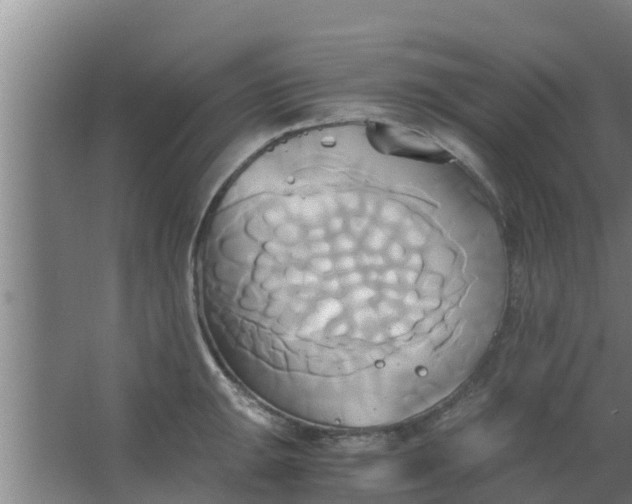 X0000063471047200602031854