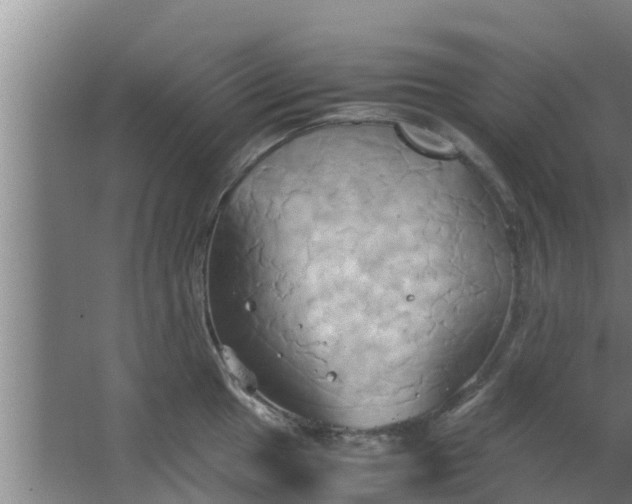 X0000063471049200602031855