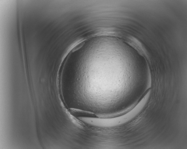 X0000063471050200602031855